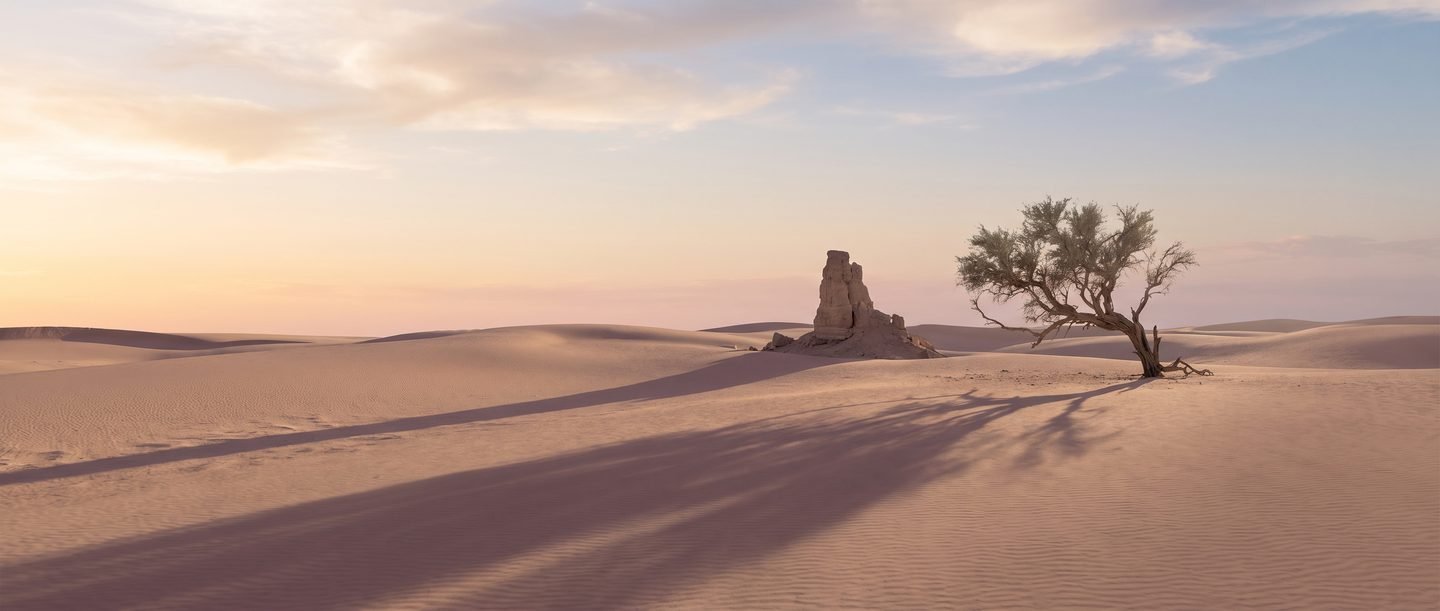 A desert landscape at dusk with long shadows across warm-toned dunes.